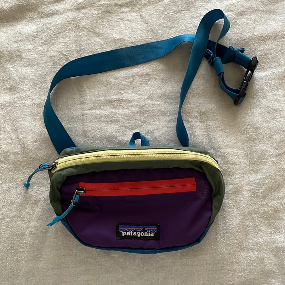 Patagonia Blackhole Hip Pack